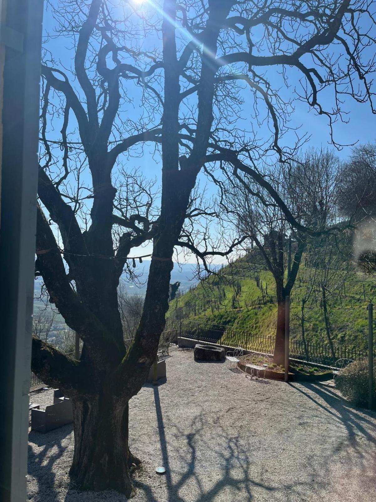 Locanda La Candola 파라디솔리고 외부 사진
